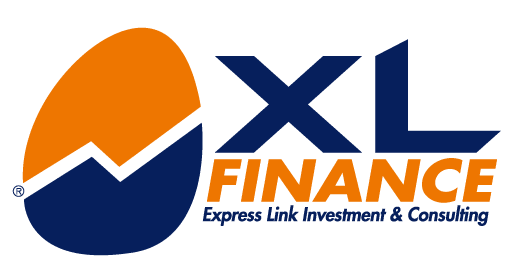 EXPRESS LINK INVESTMENT & CONSULTING